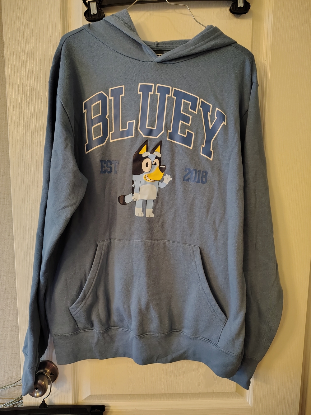 Bluey Graphic Crewneck Hoodie - Light Blue